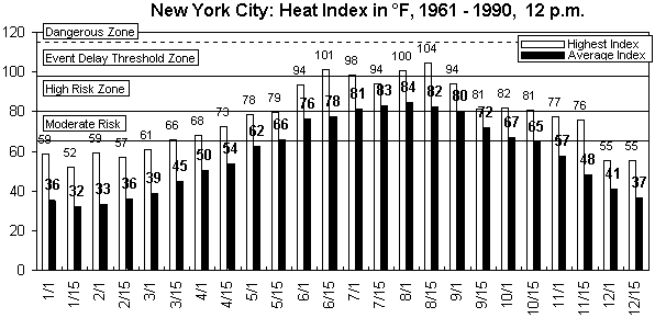 New York City-12 pm-12 months.gif (8802 bytes)