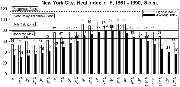 New York City-8 pm-12 months.gif (8562 bytes)